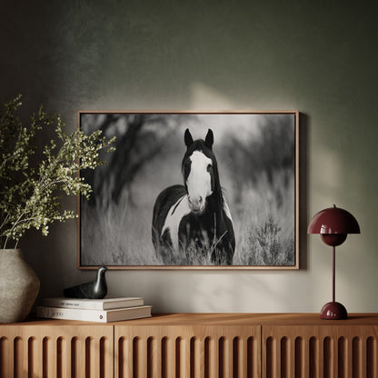 Wild Hearts Run Free Black and White Horse Wall Art