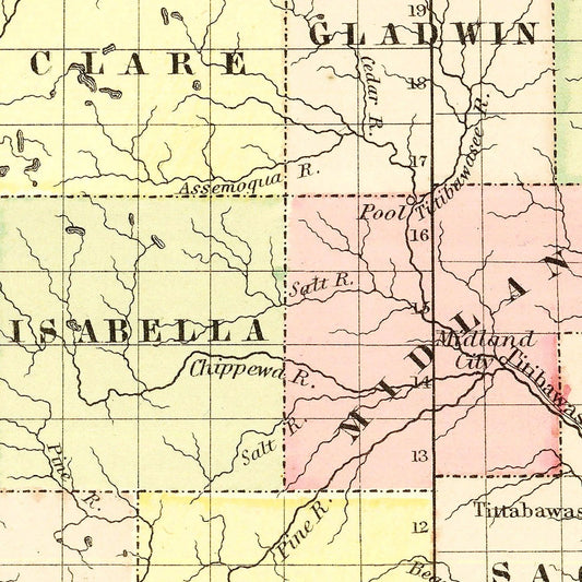 Vintage Map of Michigan, 1855