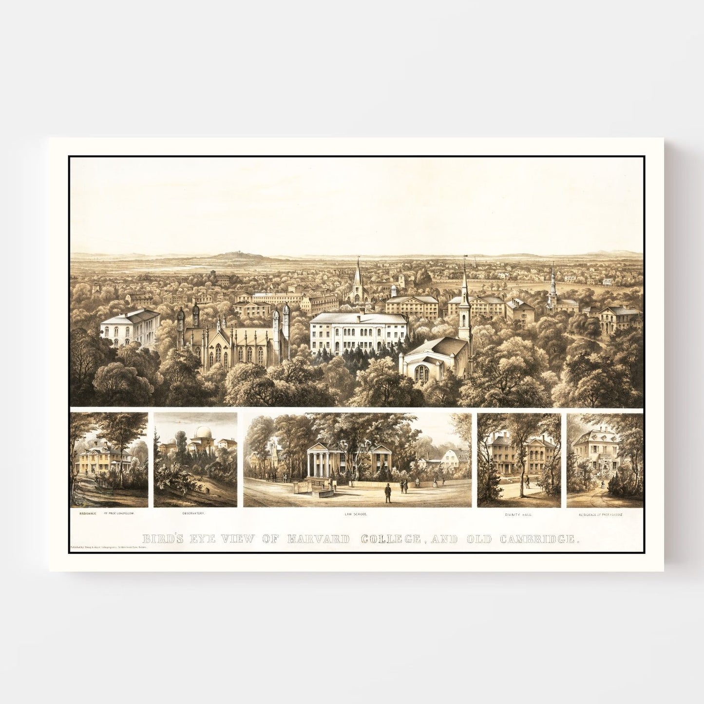 Vintage Bird's Eye View of Harvard, 1858