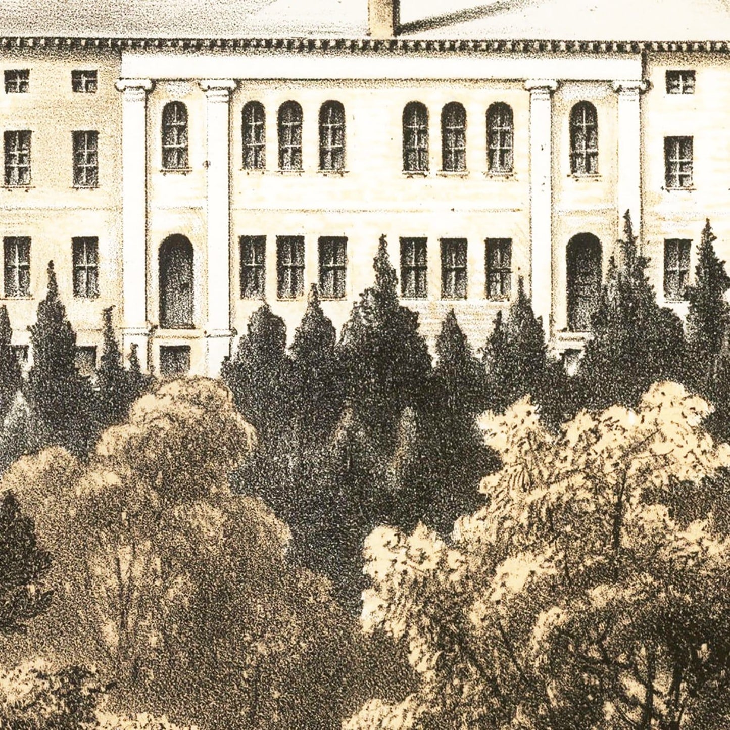 Vintage Bird's Eye View of Harvard, 1858