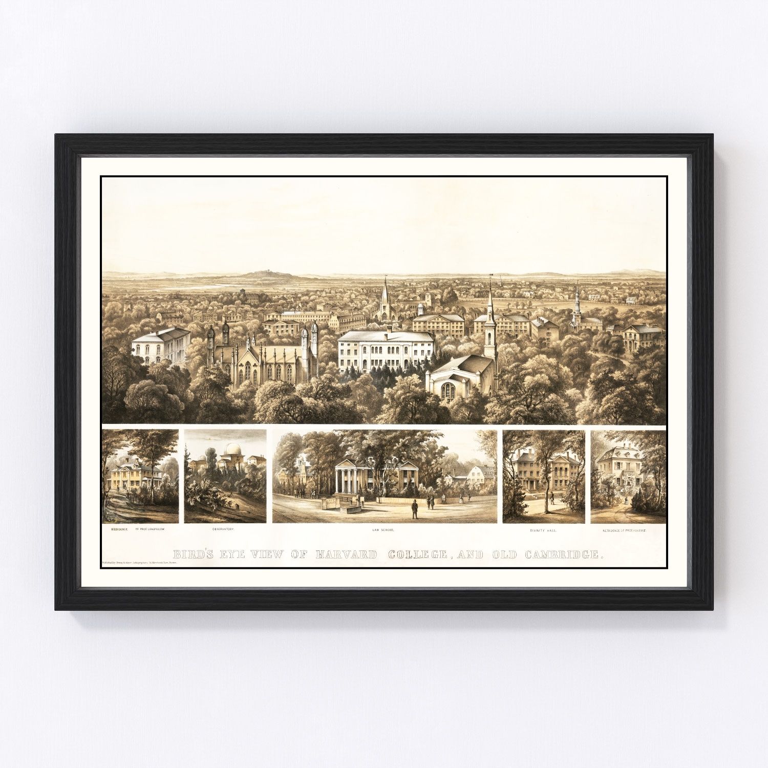 Vintage bird's eye view of Harvard University, 1858 - restored 19th-century campus print