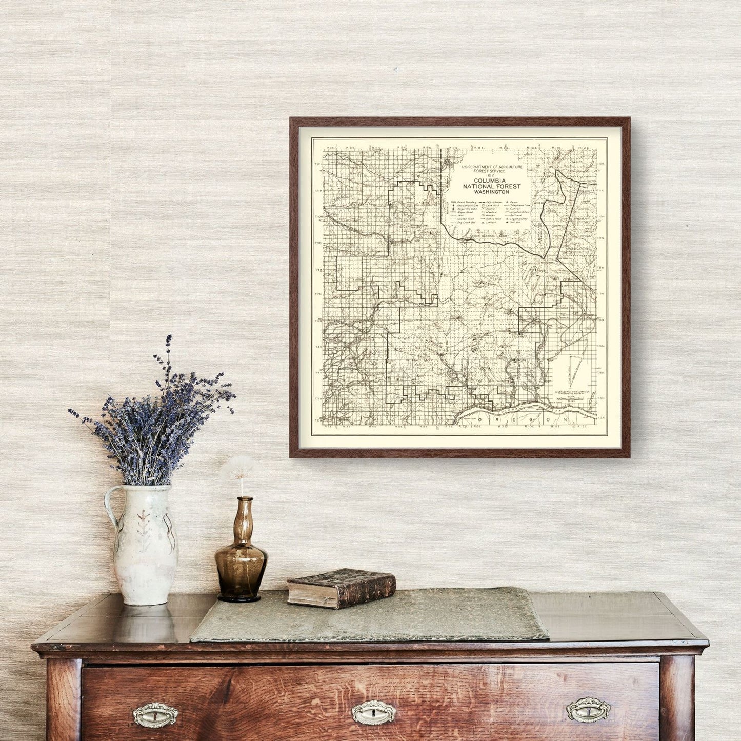 Vintage Columbia National Forest Map 1913 - Restored Print