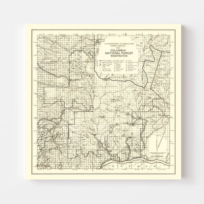 Vintage Columbia National Forest Map 1913 - Restored Print