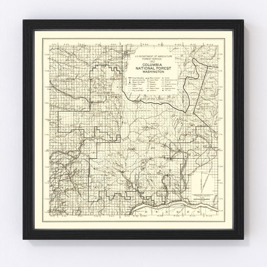 Vintage 1913 Columbia National Forest restored map print