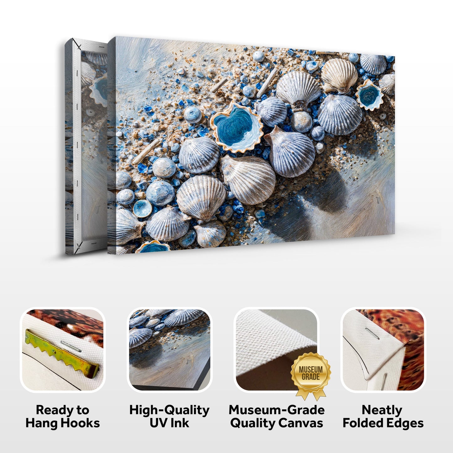Sea Shells Modern Coastal Canvas Wall Art II
