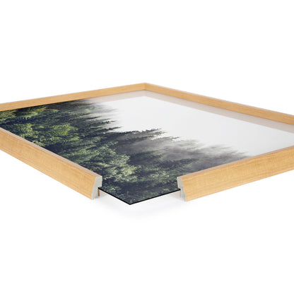 Lush Green Forest Foggy Day Framed Glass Wall Art