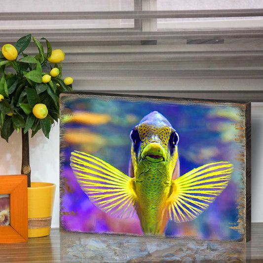 Handcrafted wood tropical reef fish coastal sea-life wall art
