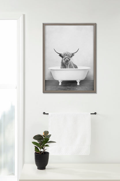 Blake Highland Cow in the Tub BW Framed Printed Glass by Amy Peterson Art Studio