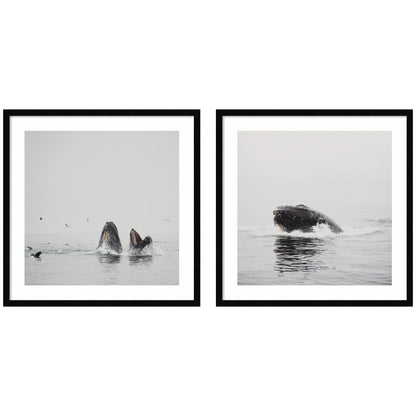 Humpback Whale 2 Piece Framed Wall Art Print Set by Laura Evans