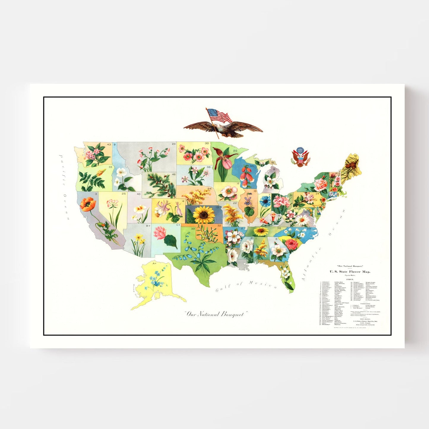 Vintage United States Flower Map, 1911