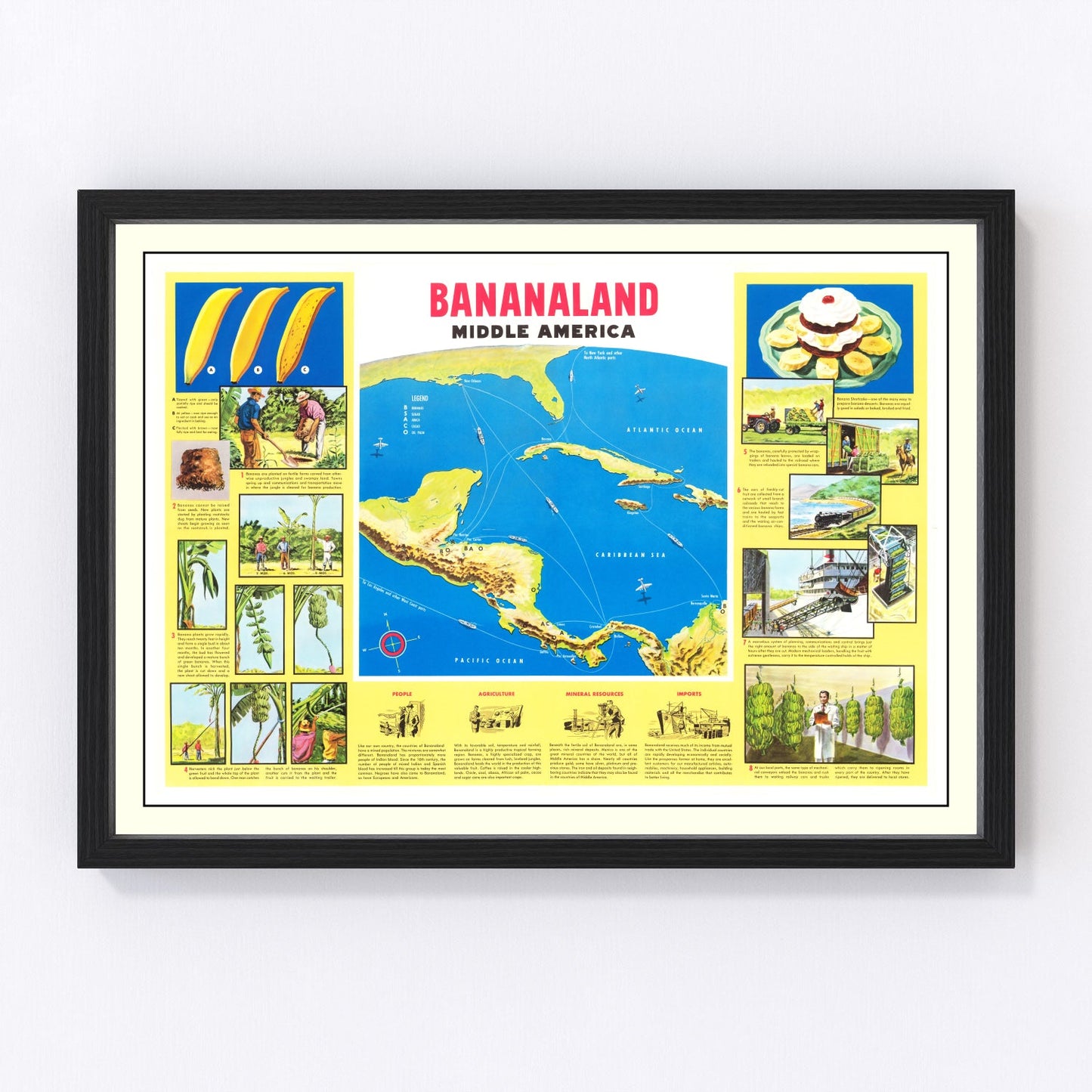Vintage map of Bananaland (Queensland), Australia, 1958