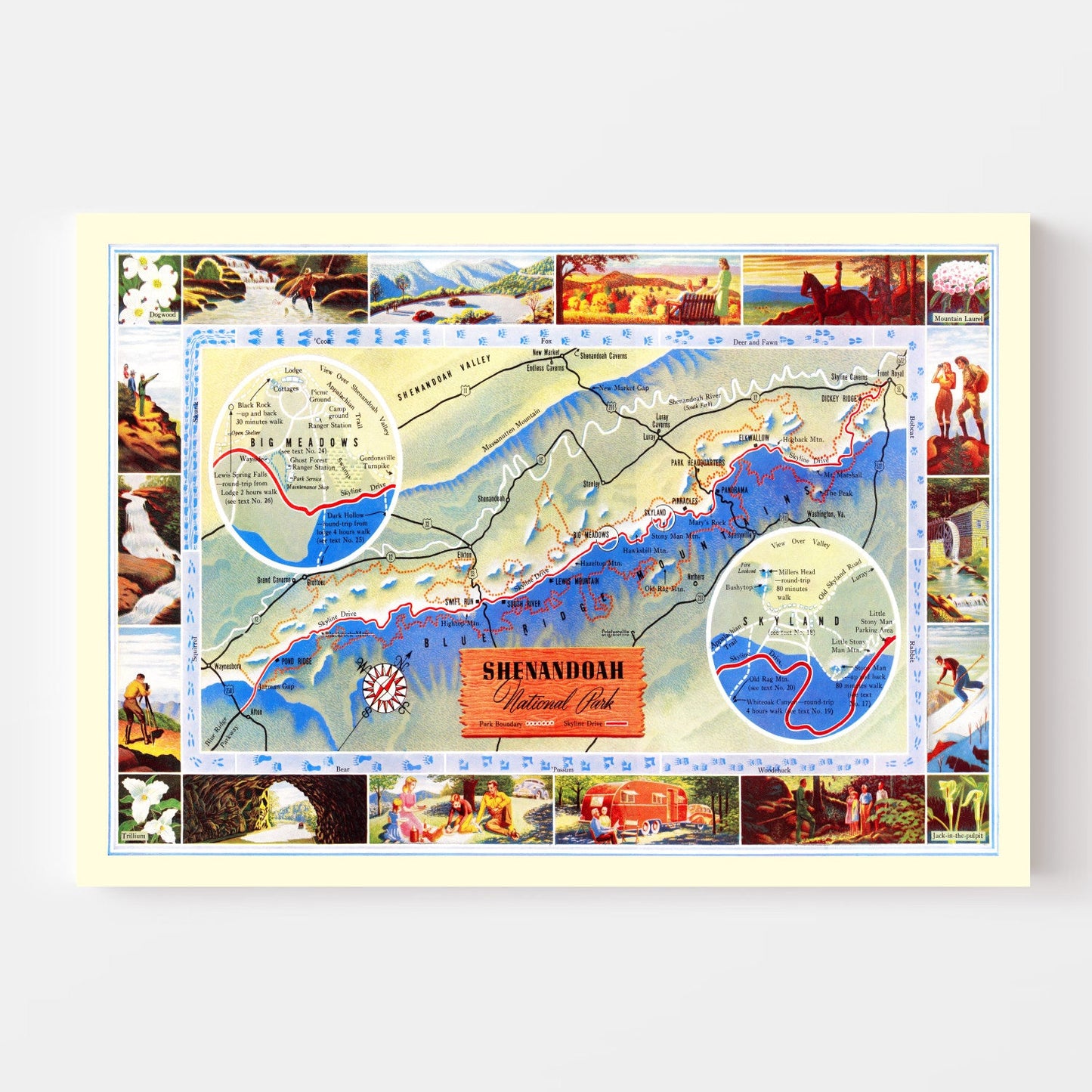 Vintage Map of Shenandoah National Park, Virginia, 1947 II