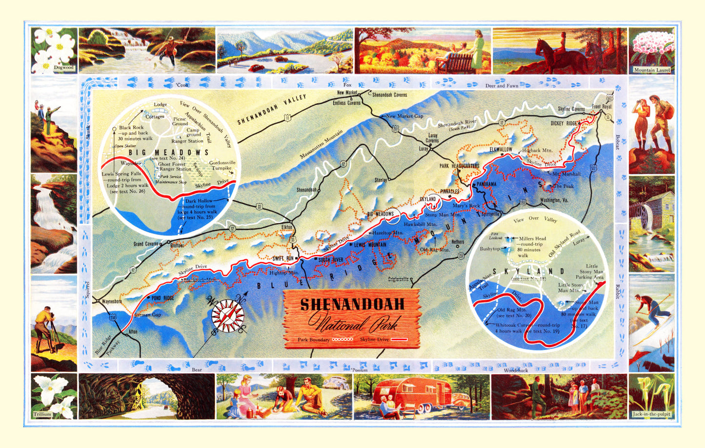 Vintage Map of Shenandoah National Park, Virginia, 1947 II