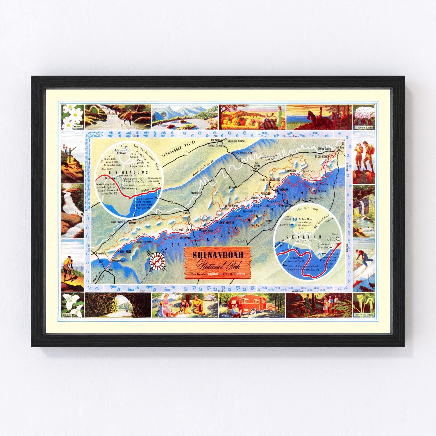 vintage map of Shenandoah National Park, Virginia, 1947
