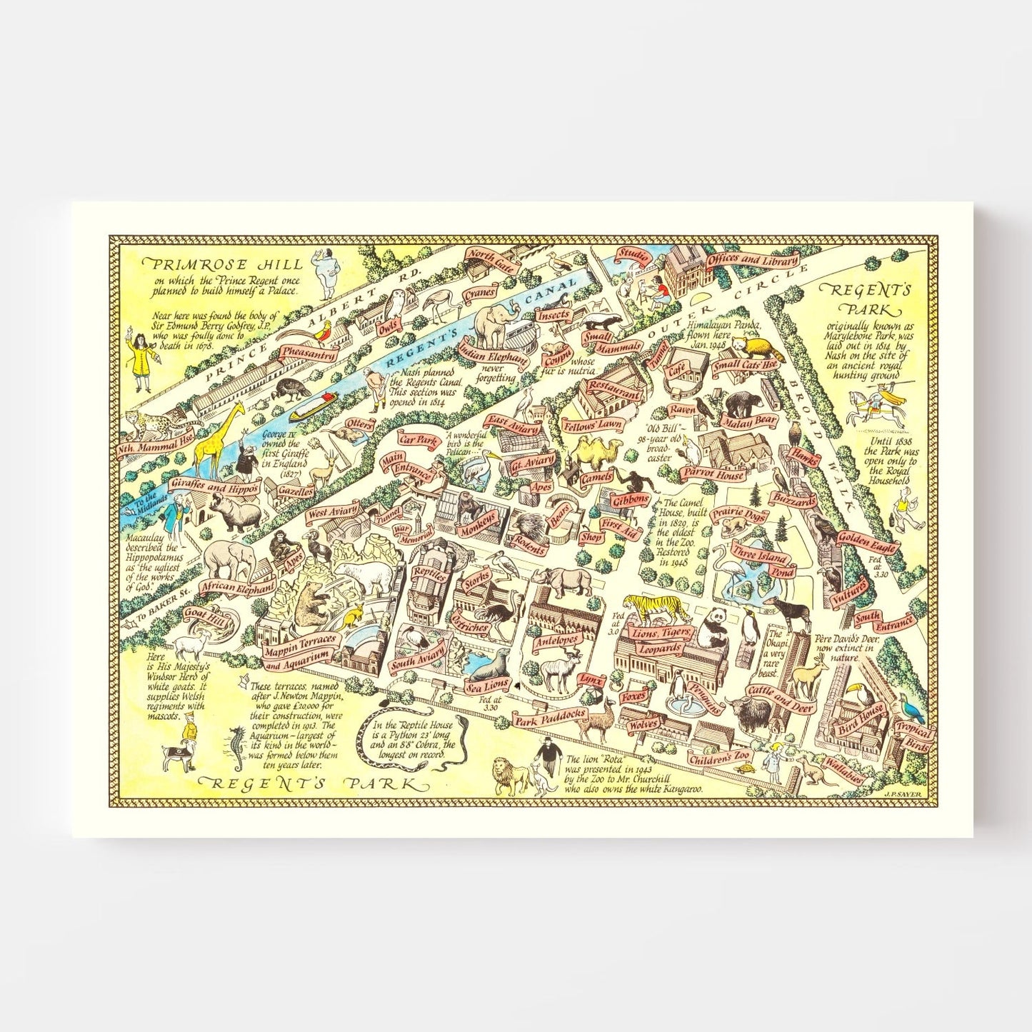Vintage Map of Zoological Gardens Regent's Park London, 1947