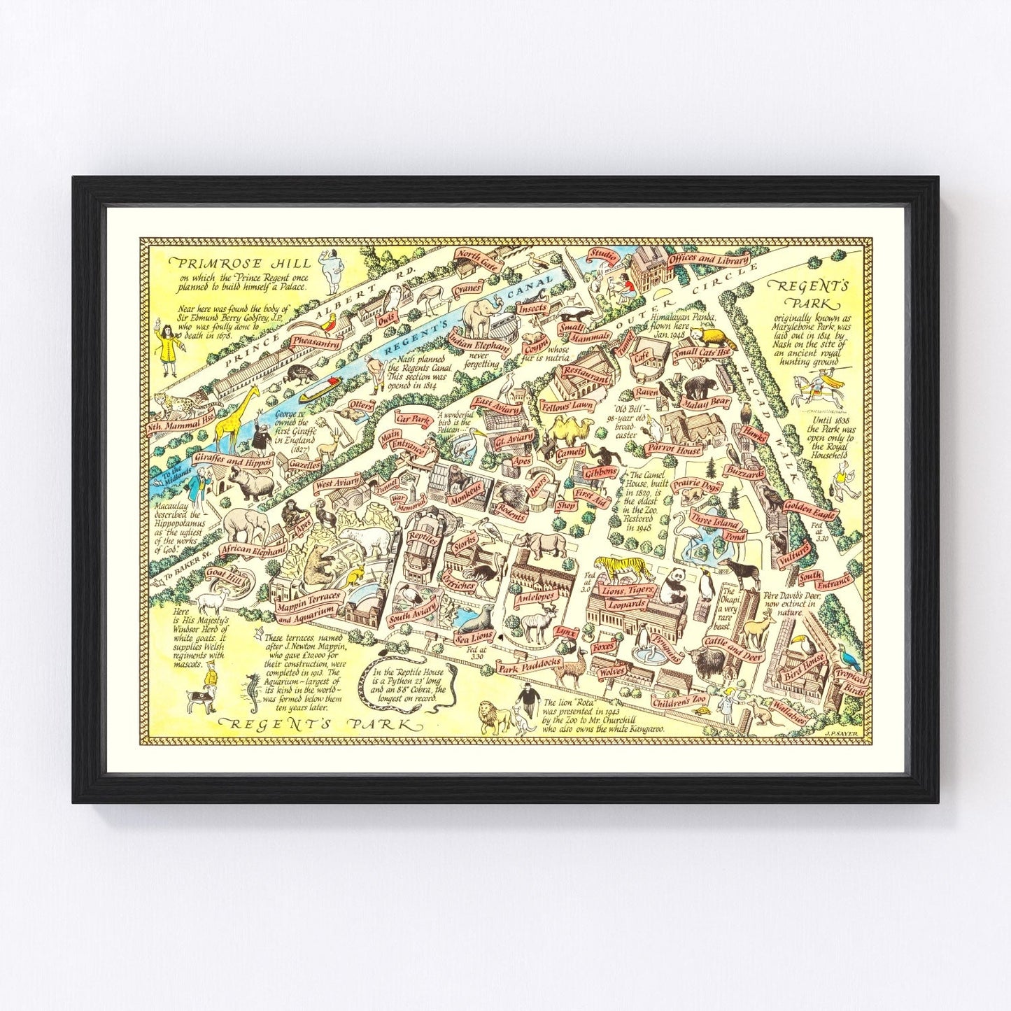 Vintage 1947 map of London Zoo Regent's Park, digitally restored print