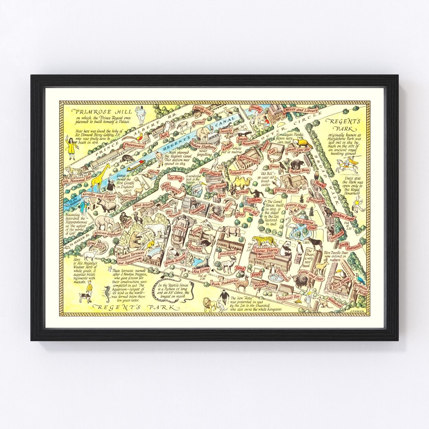 Vintage 1947 map of London Zoo Regent's Park, digitally restored print