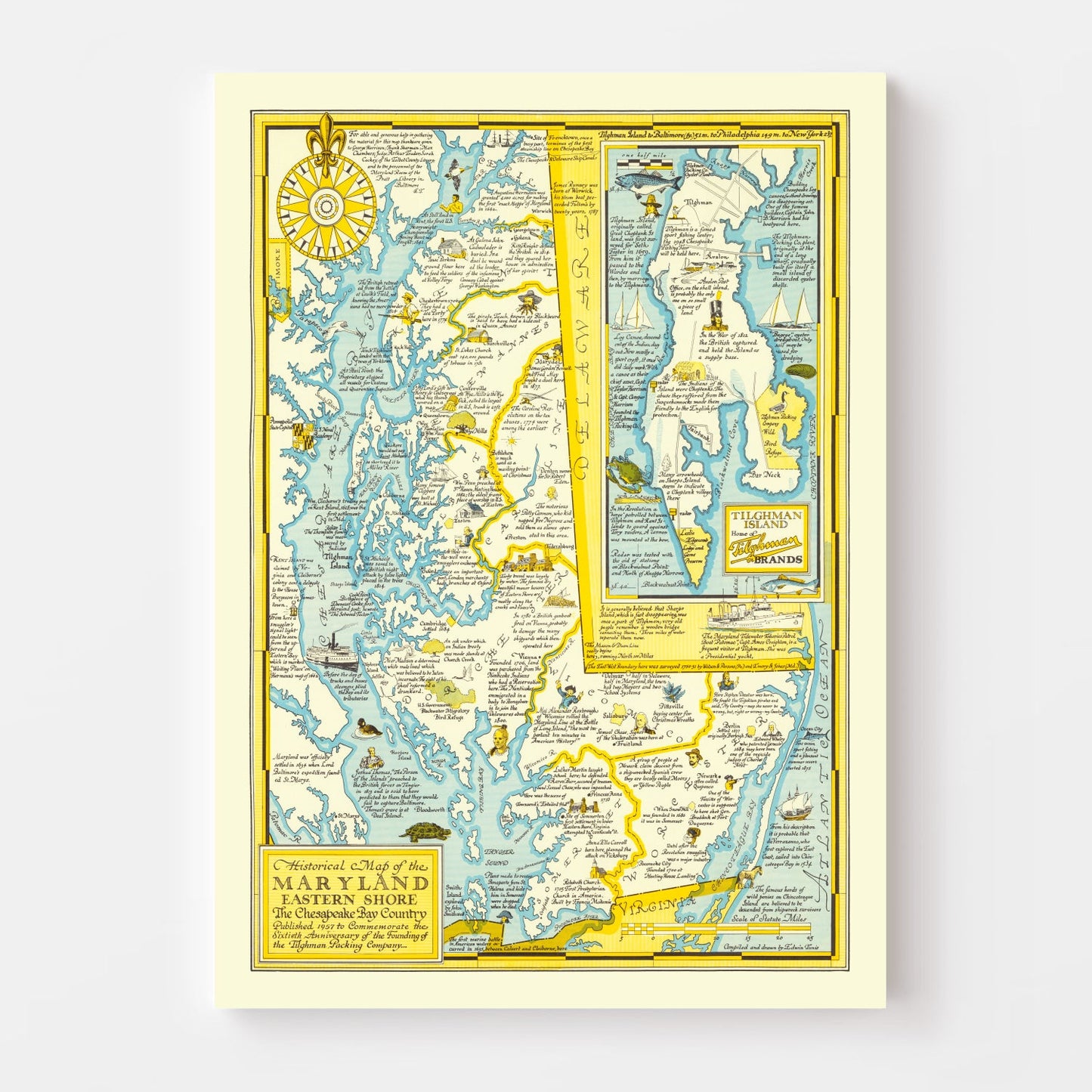 Vintage Map of the Eastern Shore of Maryland, 1957