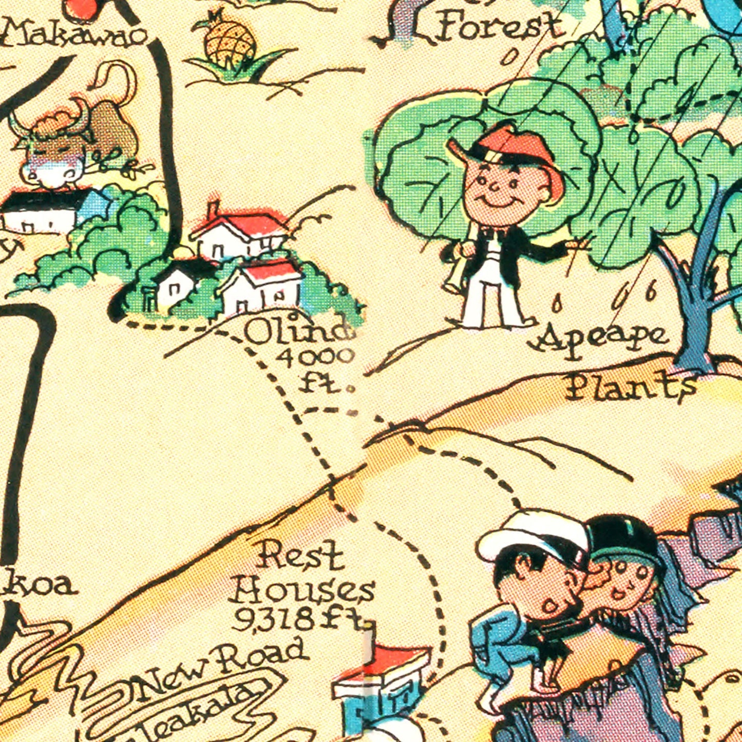 Vintage Map of Maui County, Hawaii, 1935