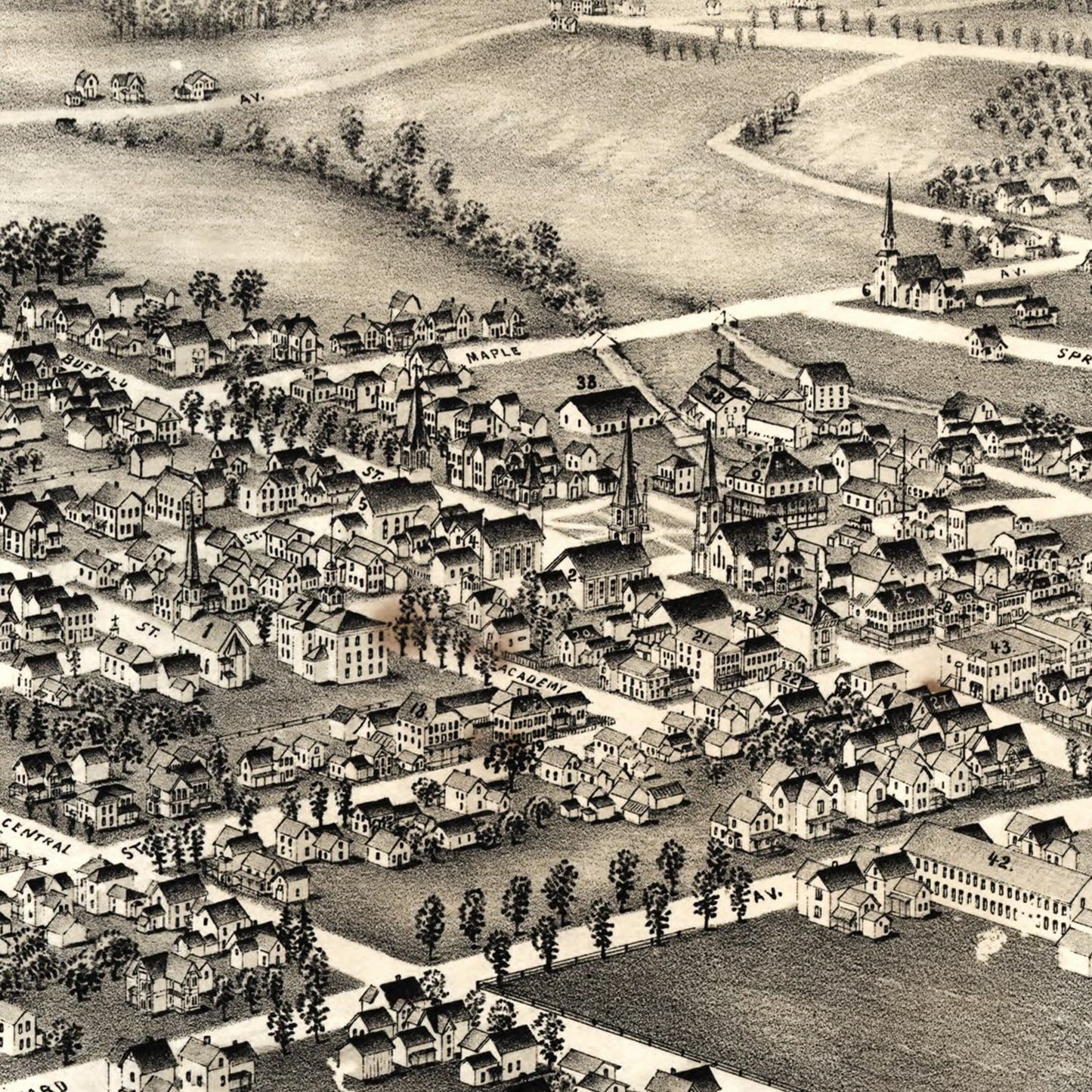 Vintage Map of Springville, New York, 1892