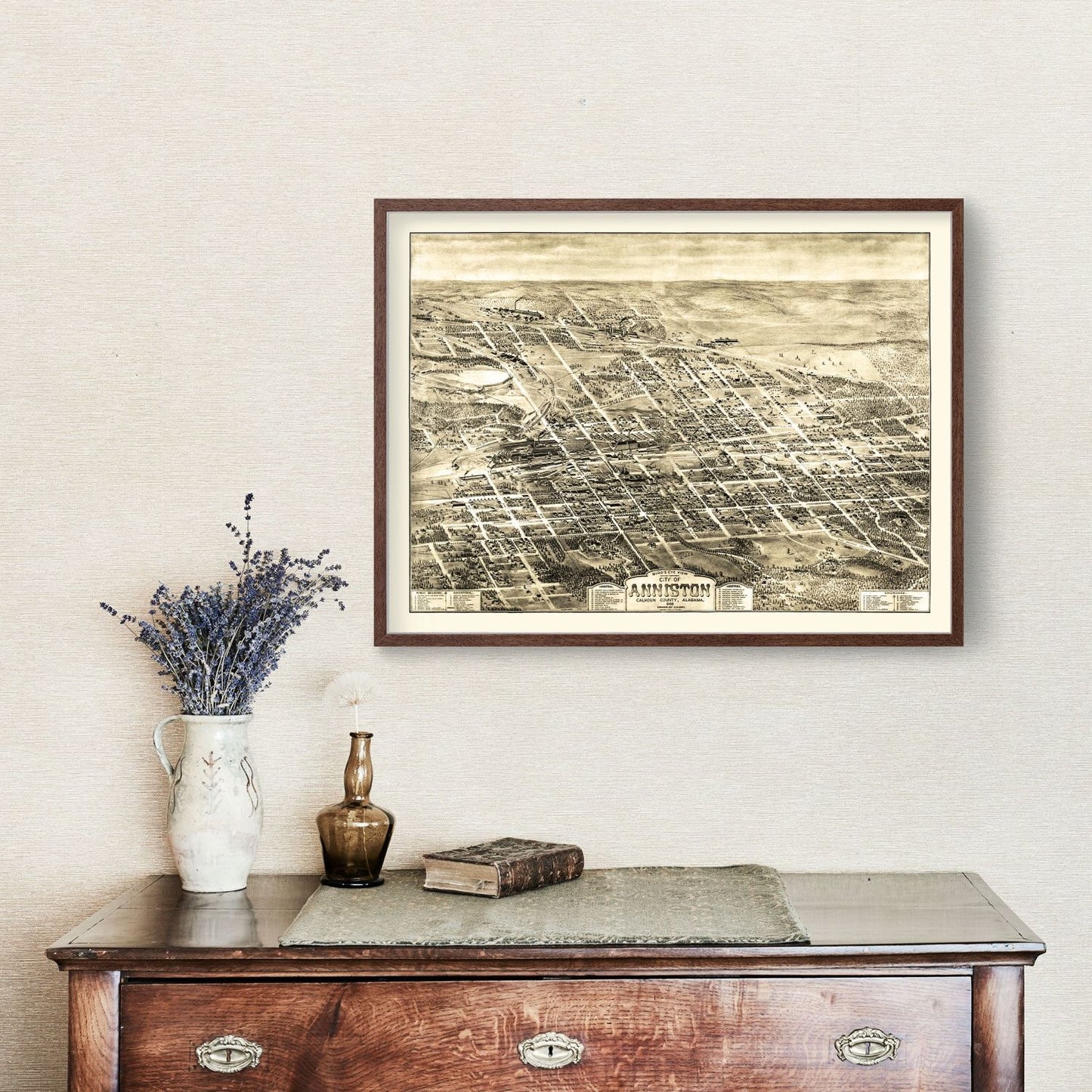 Vintage Map of Anniston, Alabama, 1903 Wall Art
