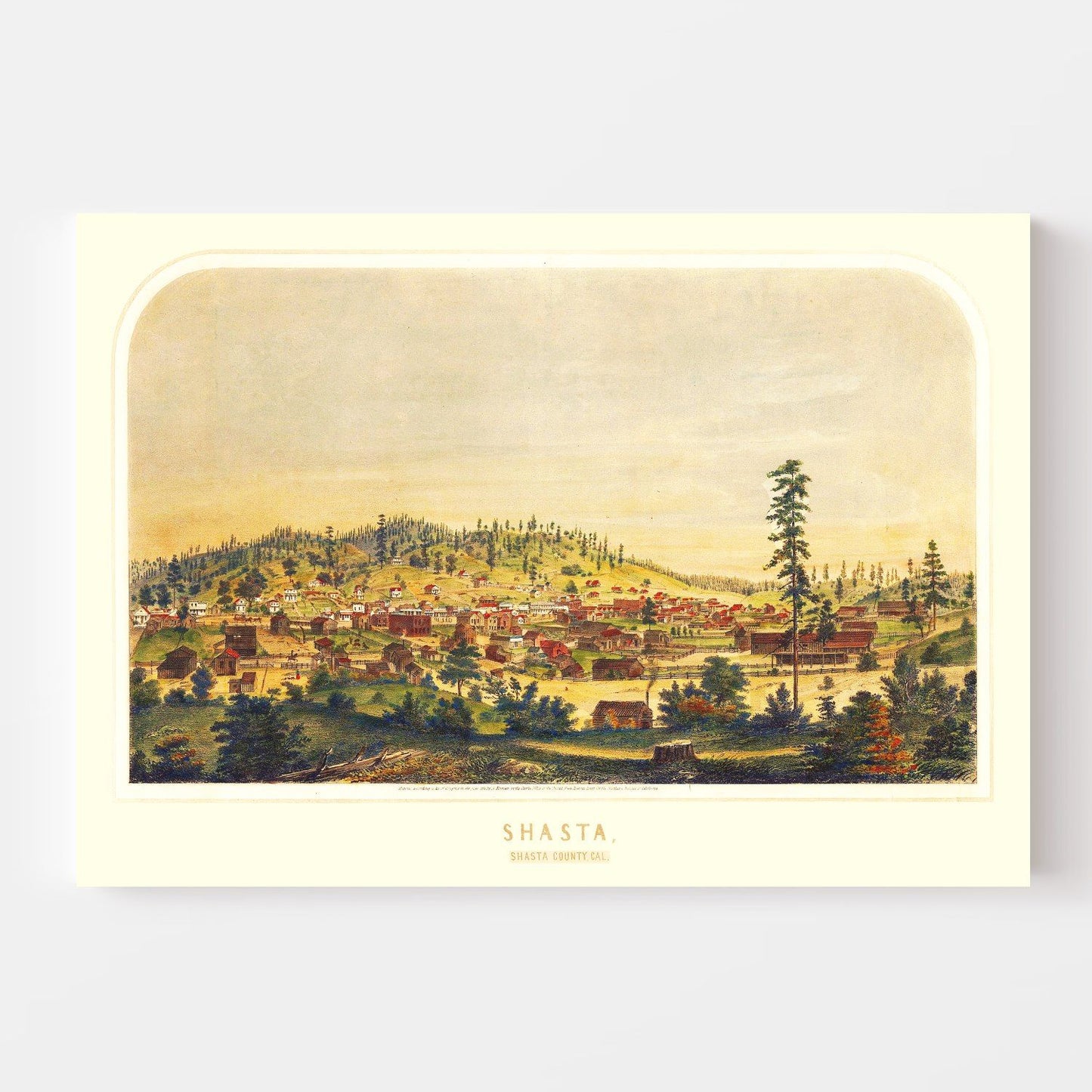 Vintage Map of Shasta, California, 1856