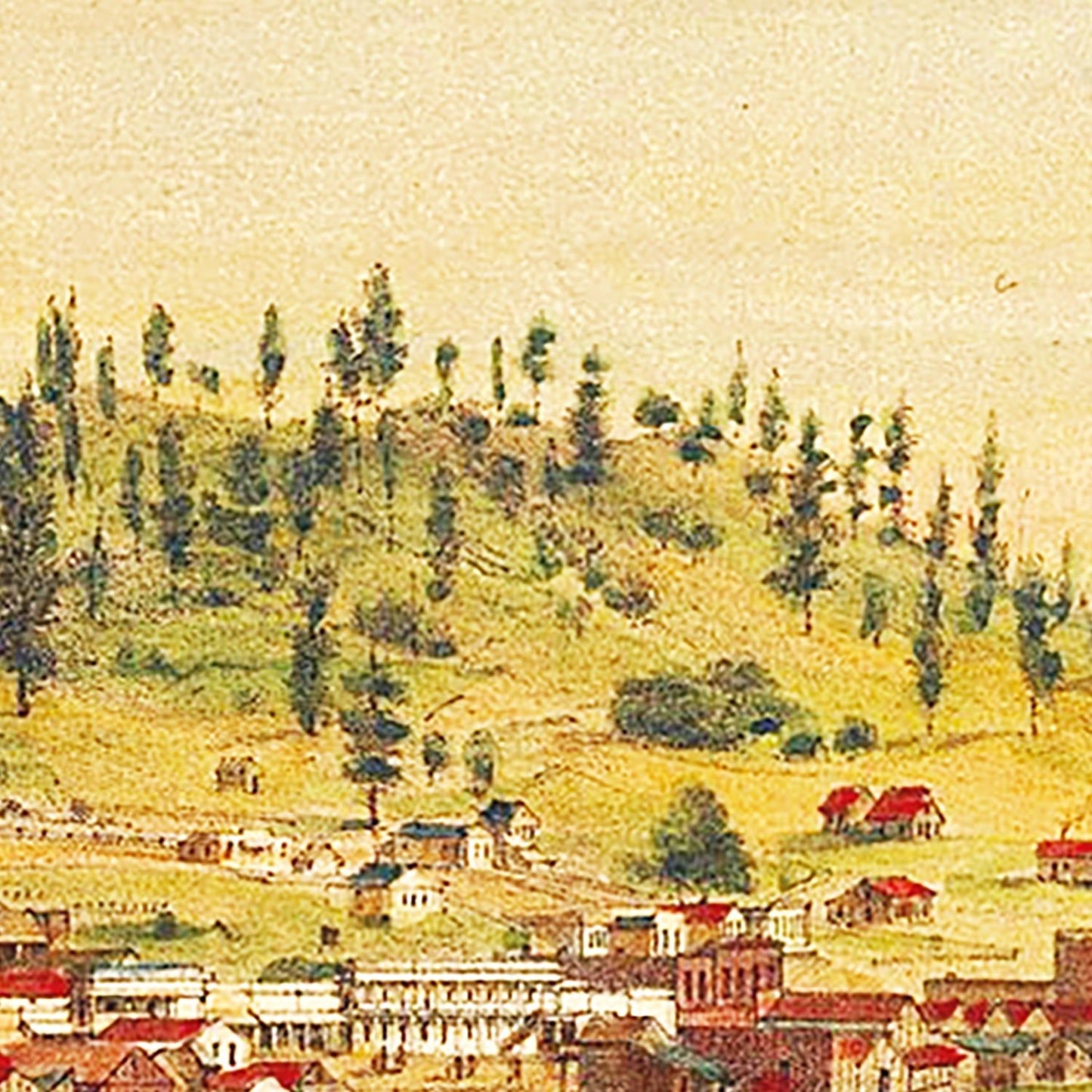 Vintage Map of Shasta, California, 1856