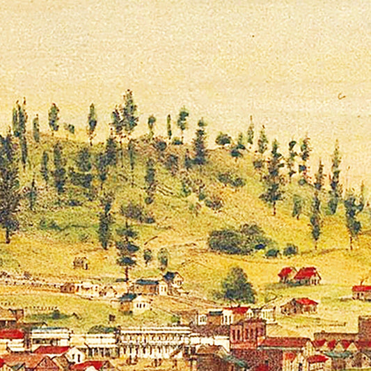 Vintage Map of Shasta, California, 1856