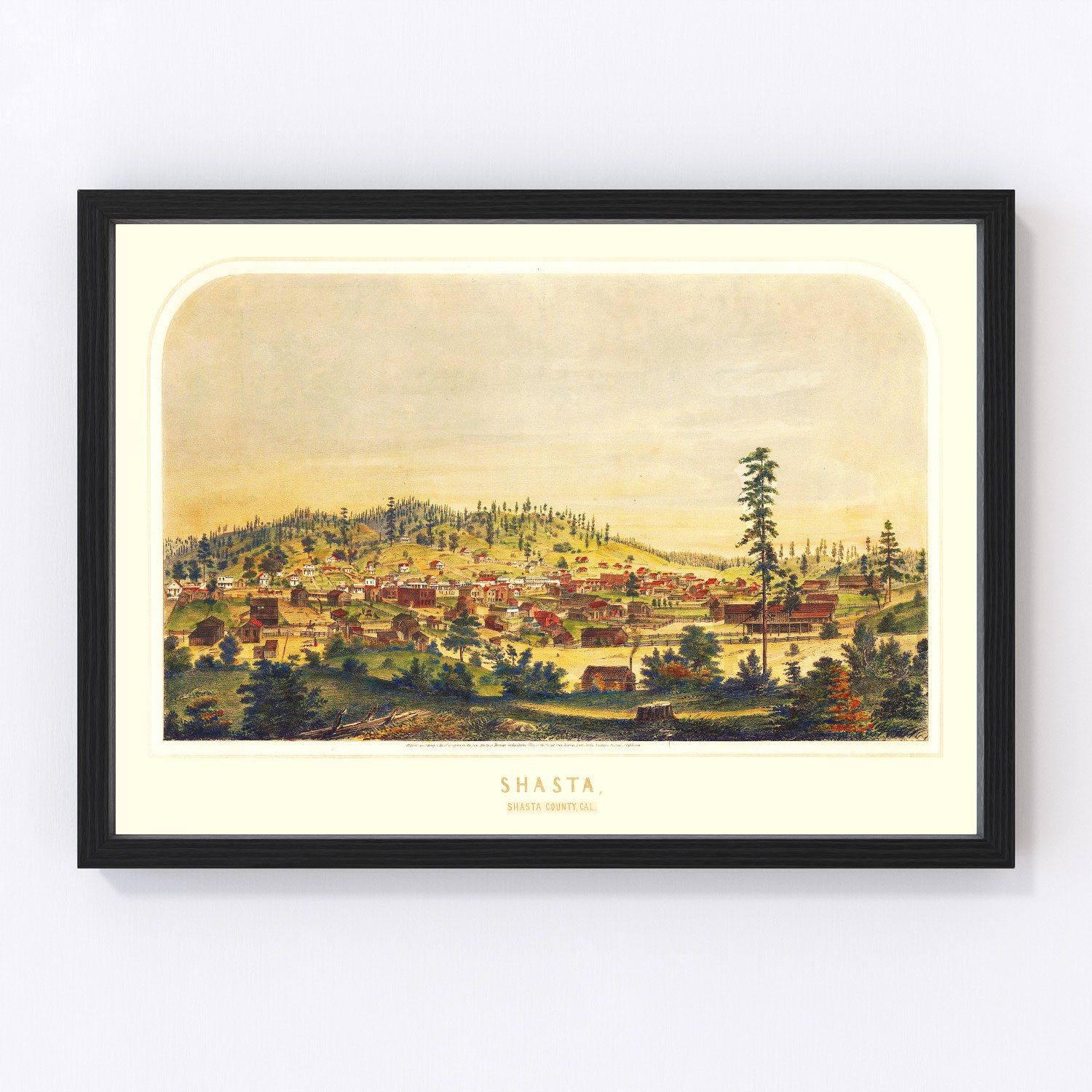Vintage map of Shasta, California, 1856