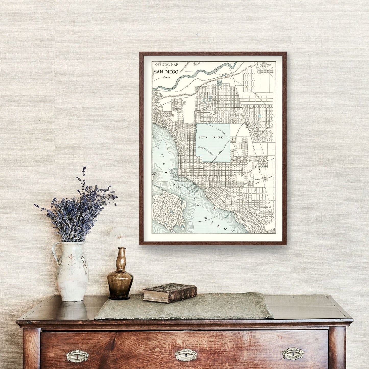 Vintage Map of San Diego, California, 1893