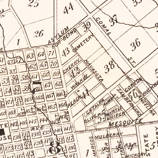 Vintage Map of Austin, Texas, 1885