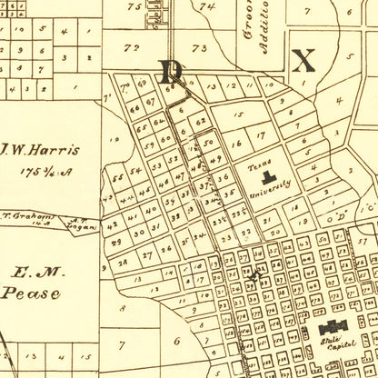Vintage Map of Austin, Texas, 1891 Wall Art