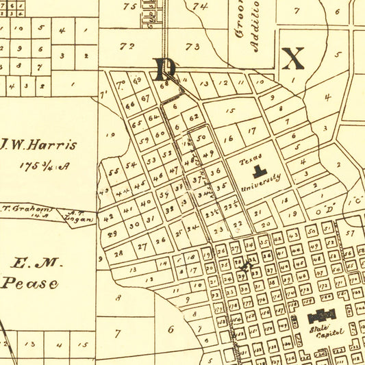 Vintage Map of Austin, Texas, 1891 Wall Art