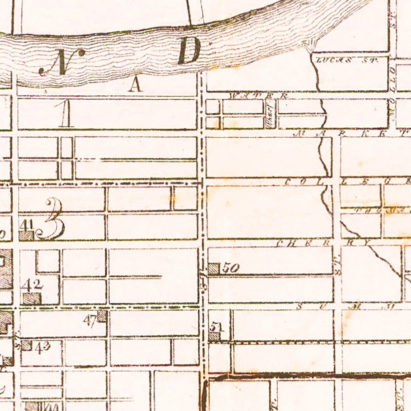 Vintage Map of Nashville, Tennessee, 1860