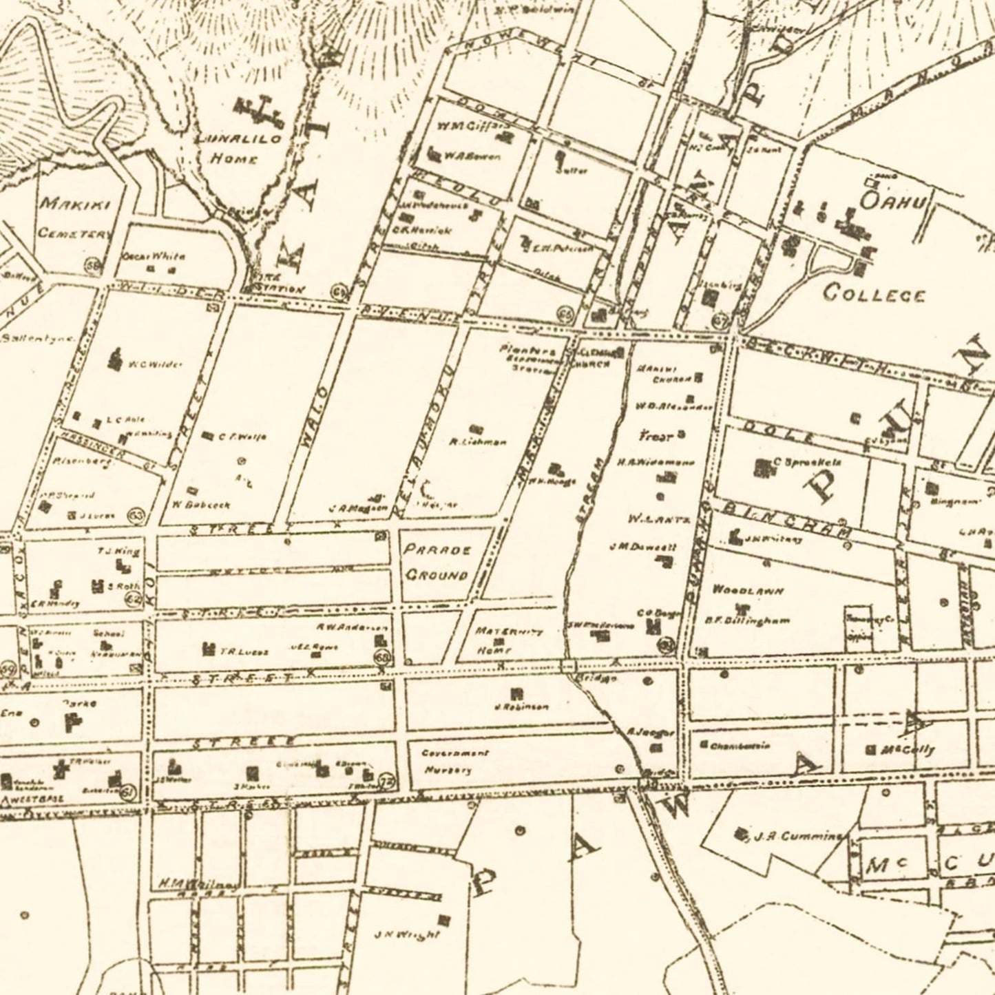 Vintage Map of Honolulu, Hawaii, 1901