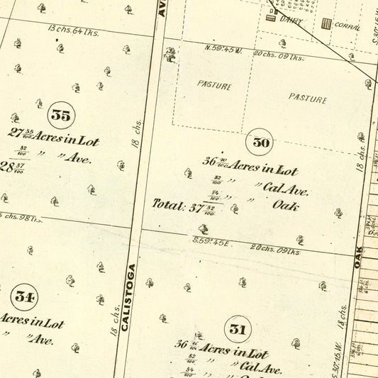Vintage Map of Calistoga, California, 1871 | Wall Art