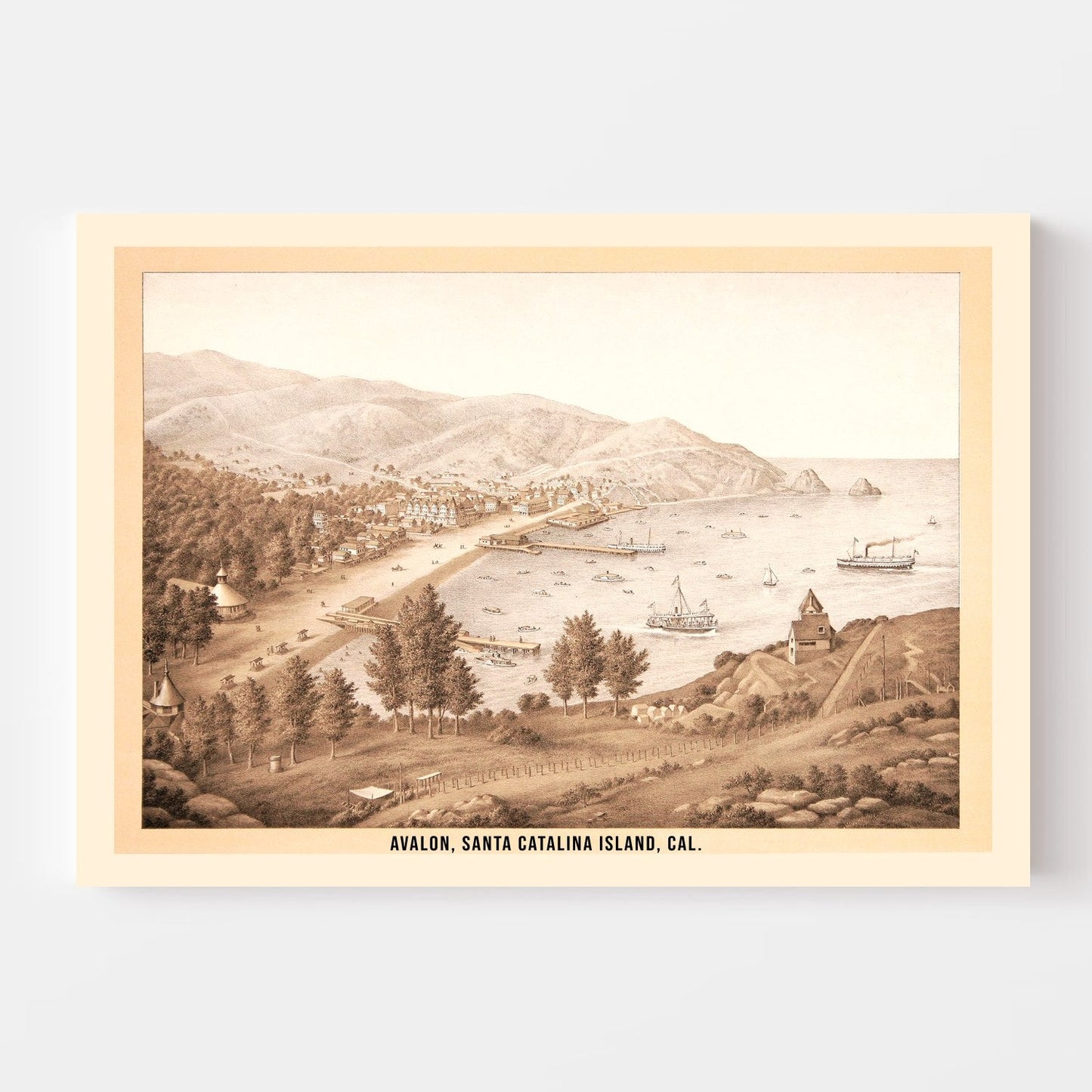 Vintage Map of Avalon, California, 1885