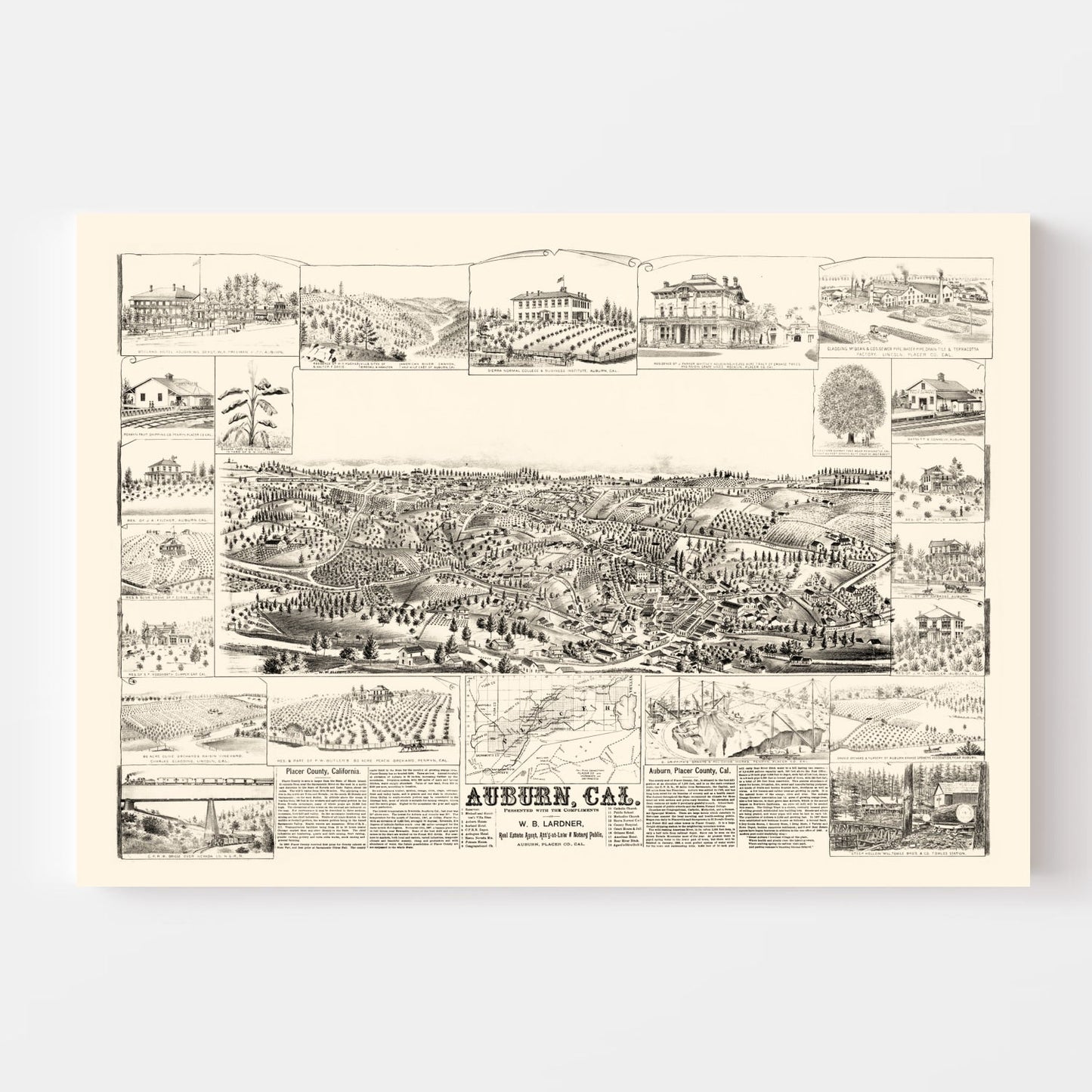 Vintage Map of Auburn, California, 1887 (Bird's Eye Edition)