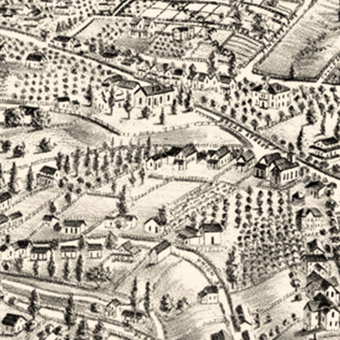 Vintage Map of Auburn, California, 1887 (Bird's Eye Edition)