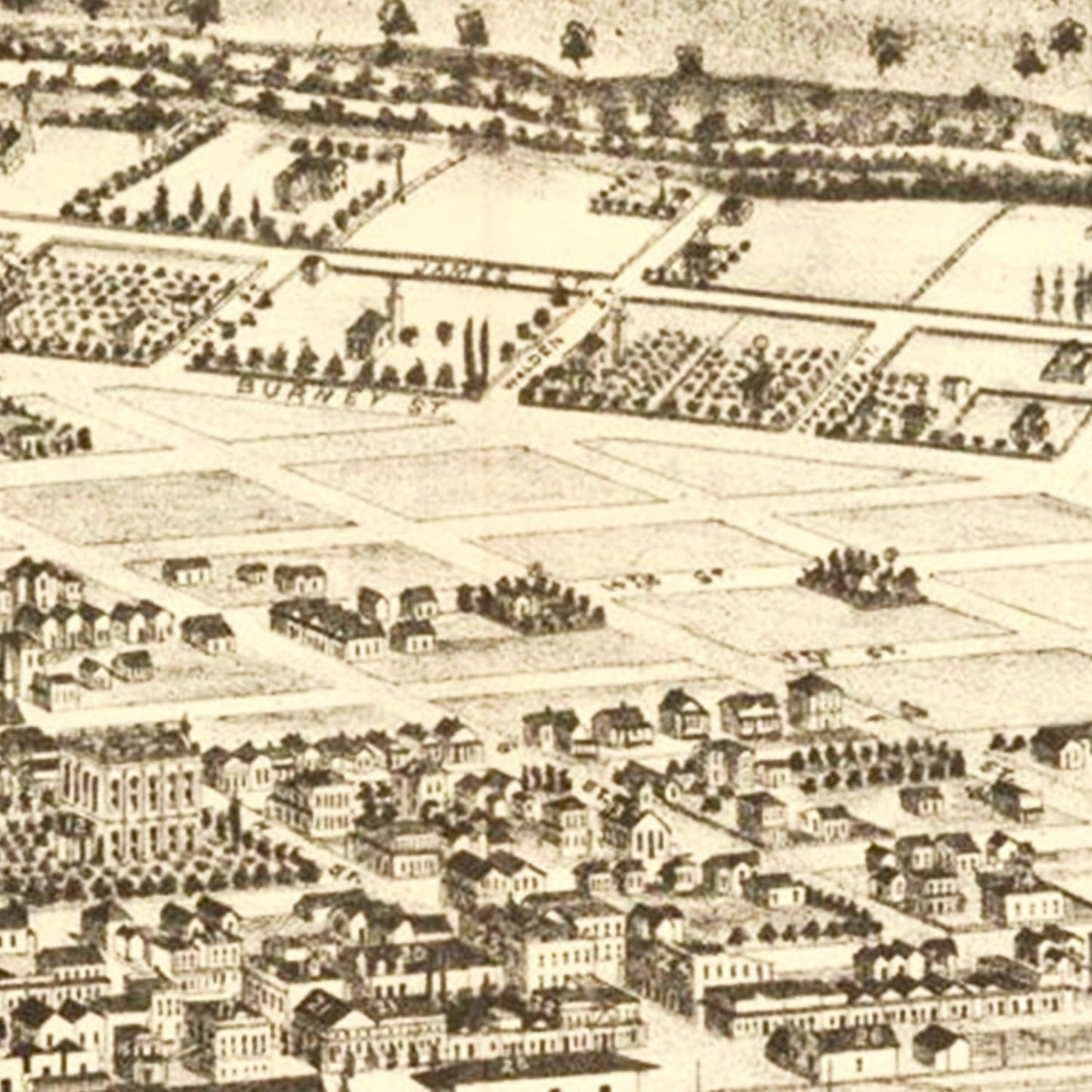 Vintage Map of Modesto, California, 1888