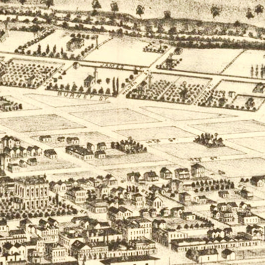 Vintage Map of Modesto, California, 1888