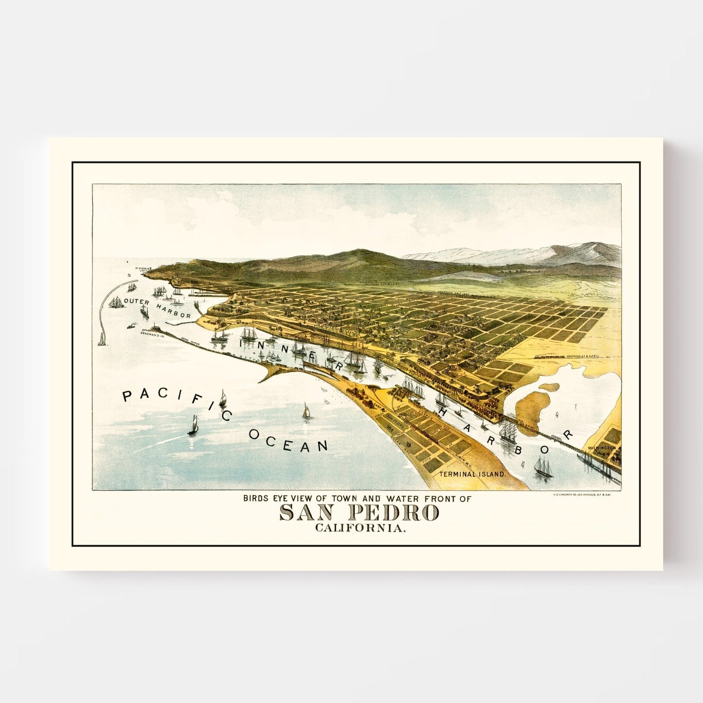 Vintage Map of San Pedro, California, 1897