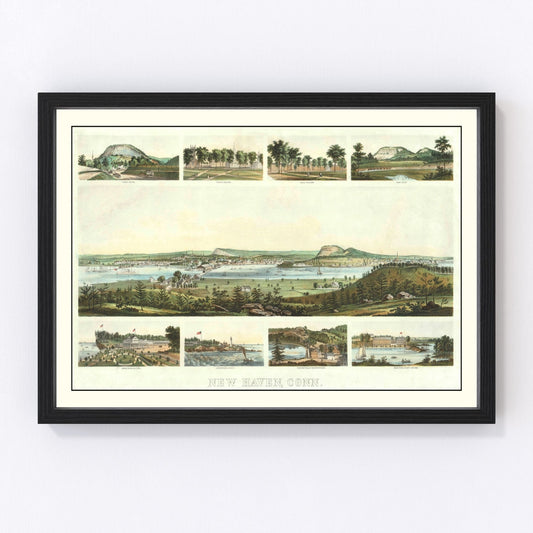 Vintage map of New Haven, Connecticut, 1862