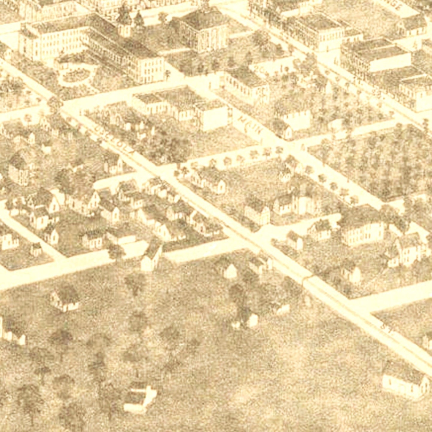 Vintage Map of Ocala, Florida, 1892