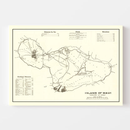 Vintage Map of Maui, 1924