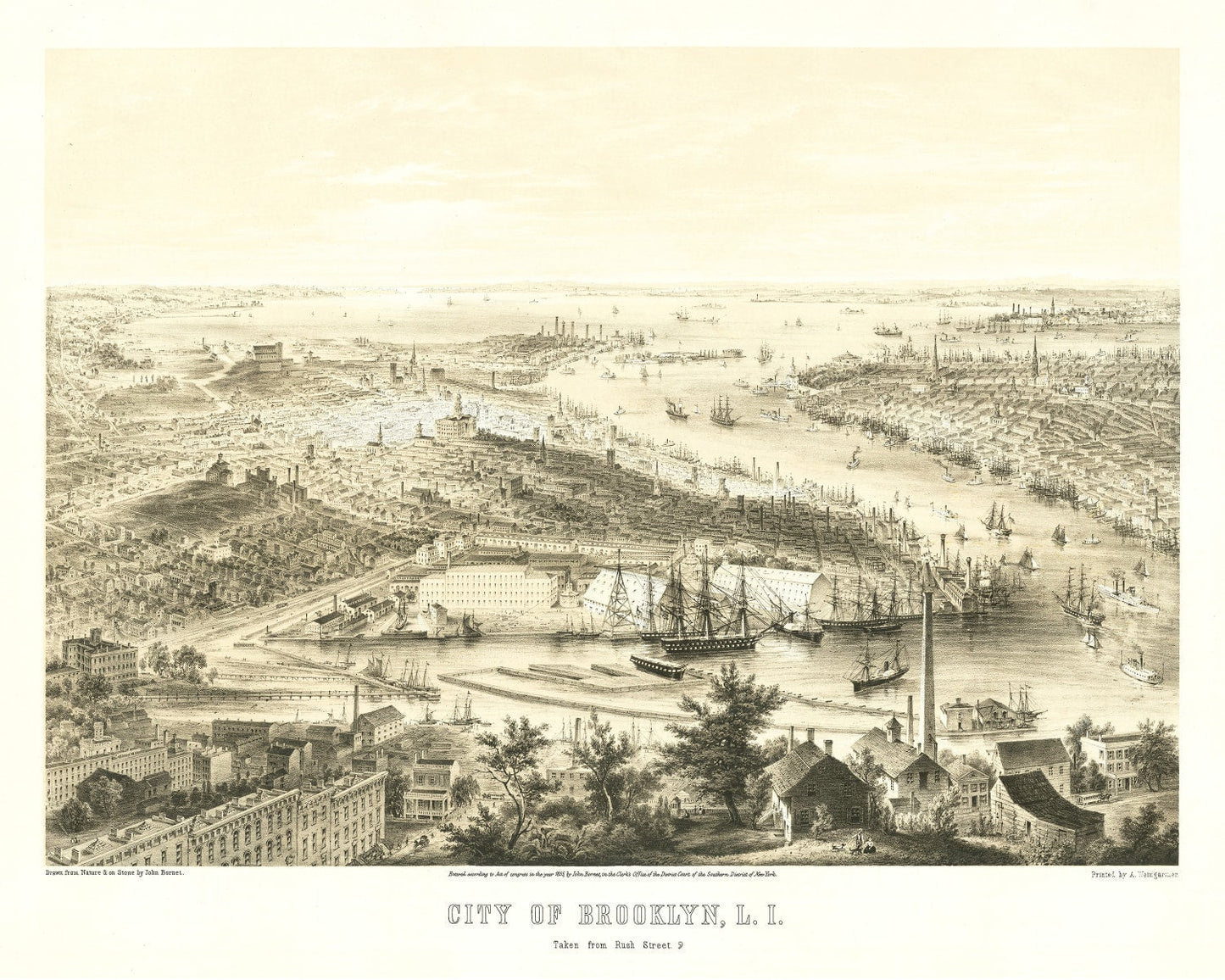Vintage Map of Brooklyn, New York, 1855