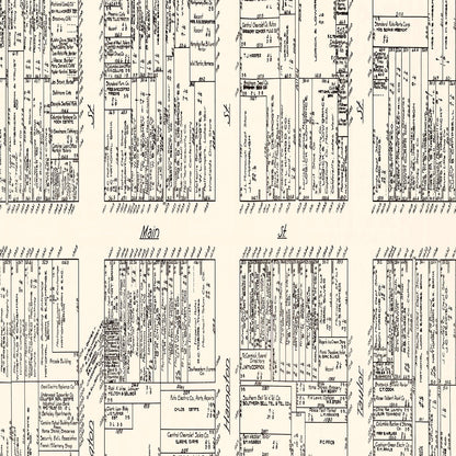 Vintage Map of Columbia, SC Business Section 1929