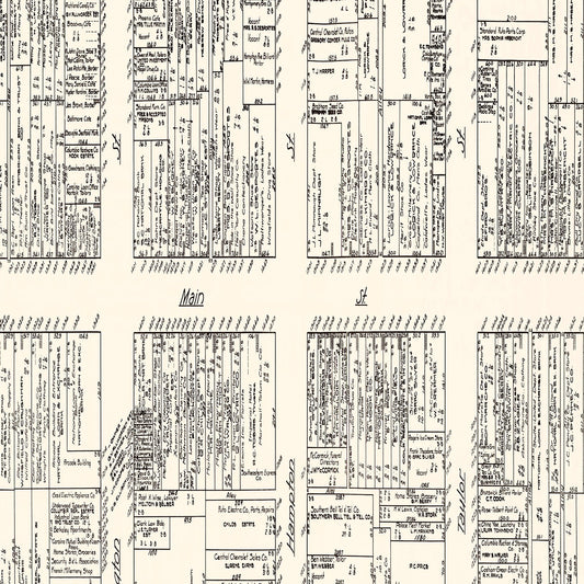 Vintage Map of Columbia, SC Business Section 1929