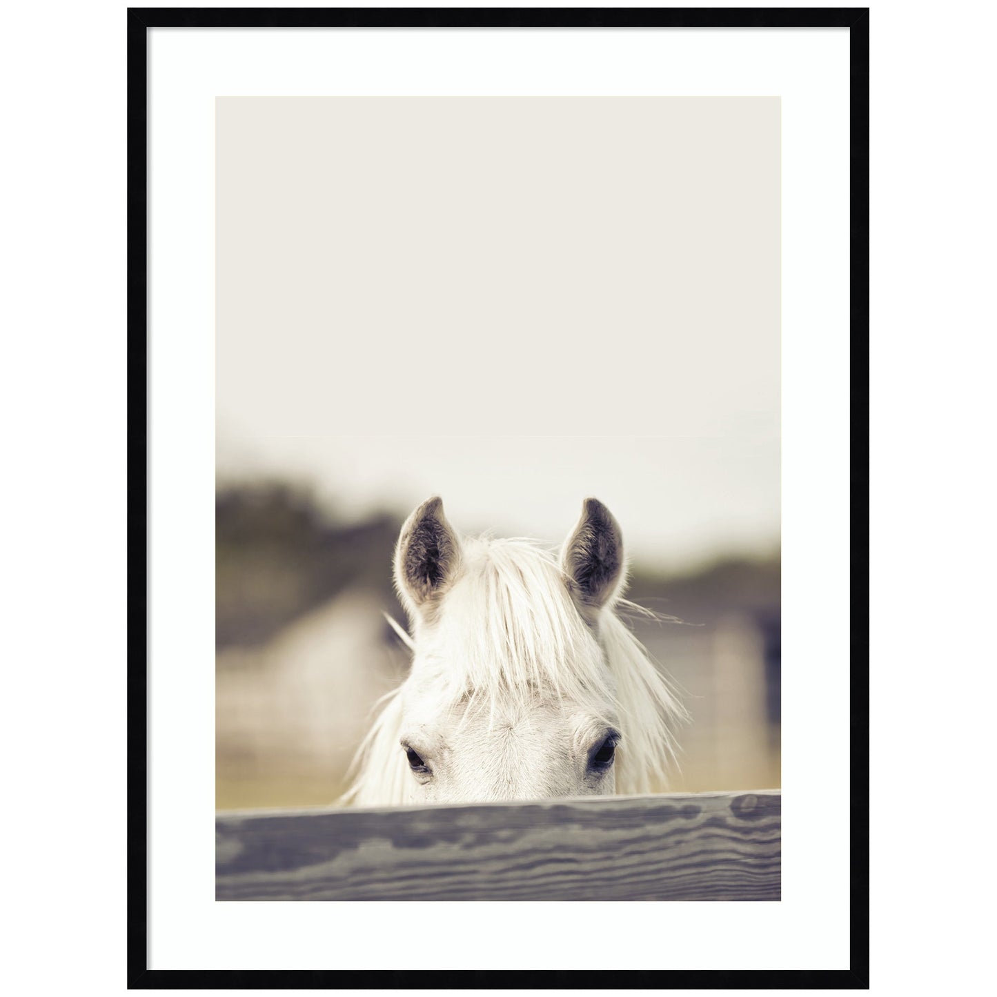 Horse Framed Wall Art Print