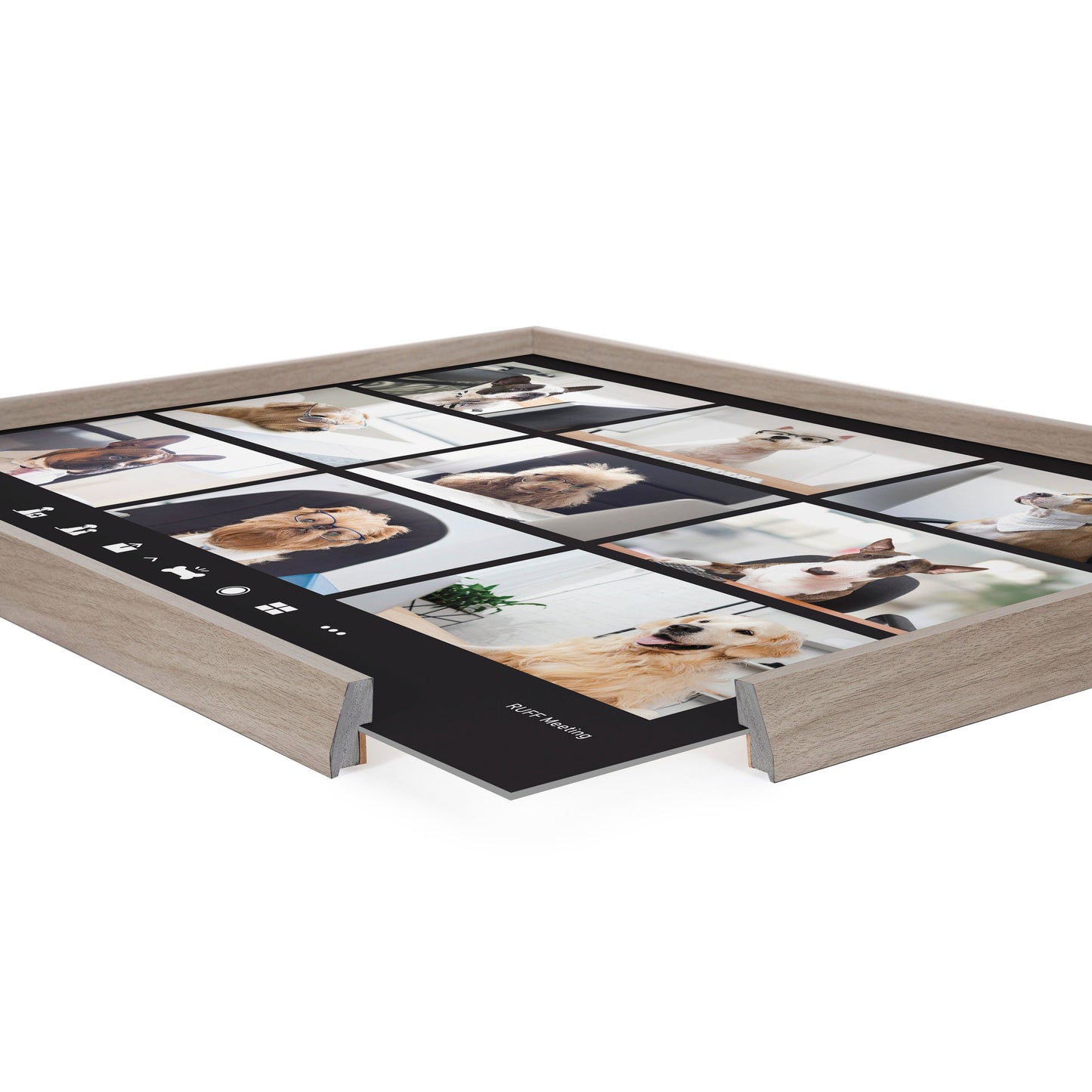Video Chat Dogs Framed Glass Wall Art